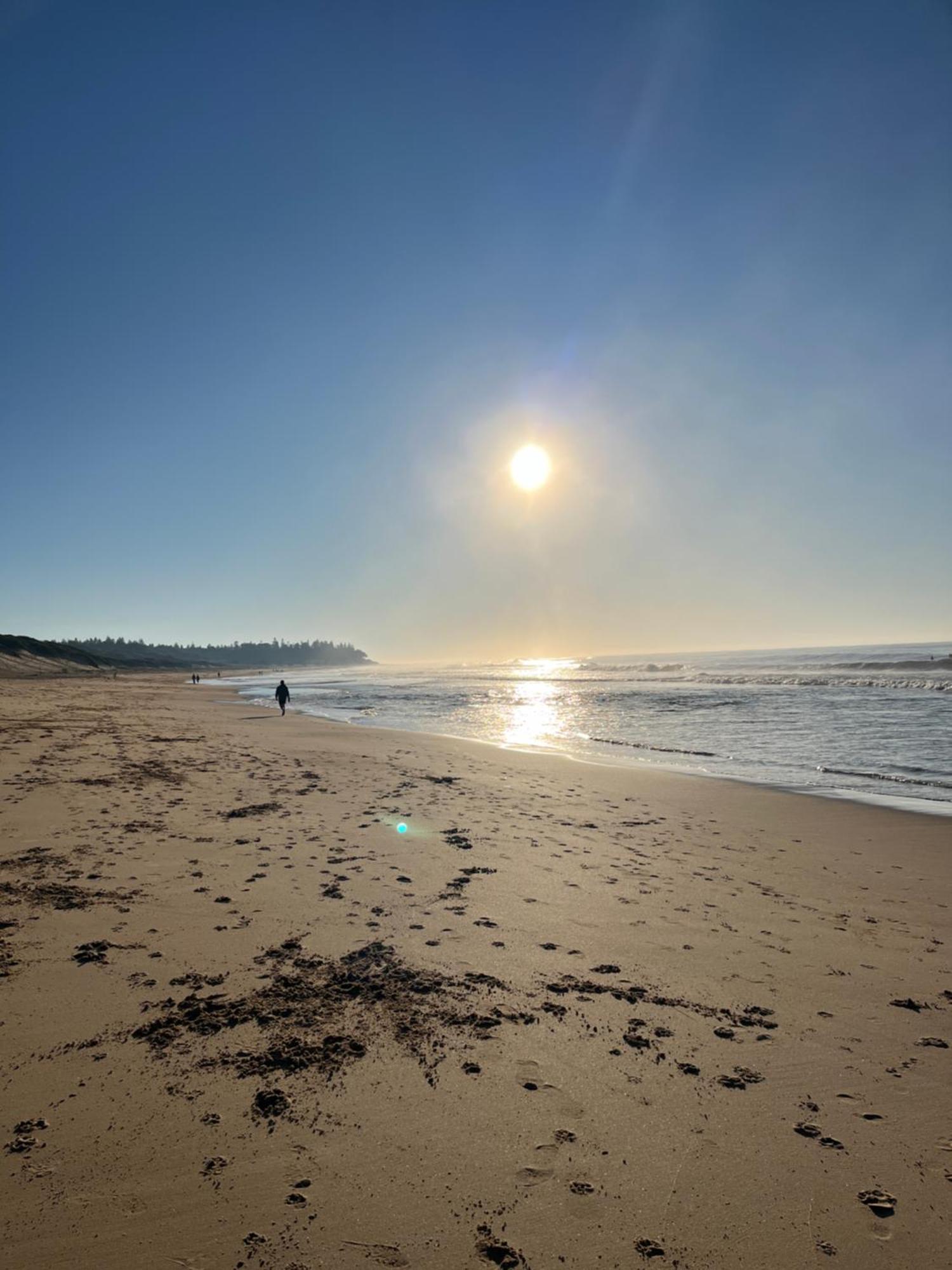 Blue Lagoon Beach Resort Bateau Bay Eksteriør billede