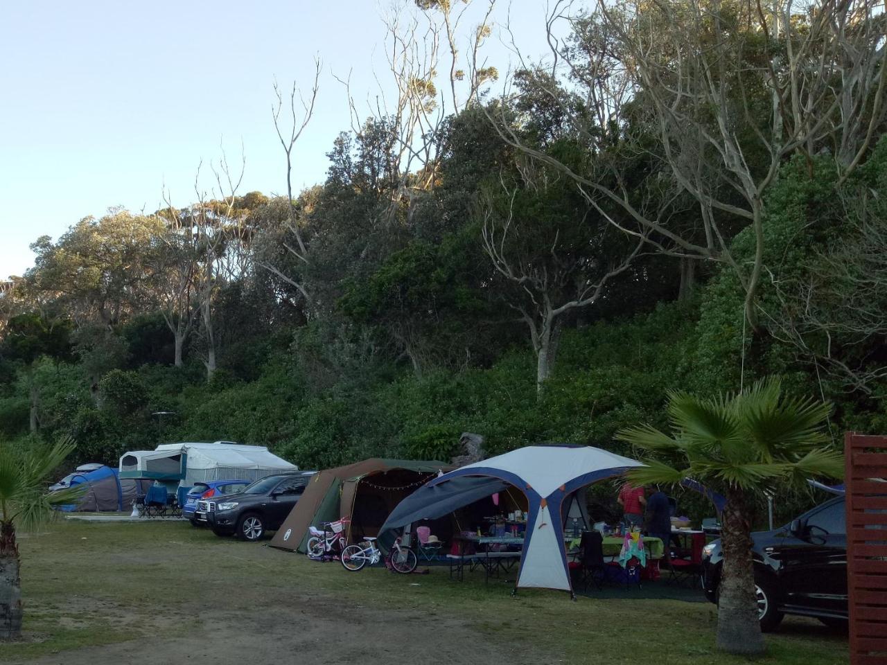 Blue Lagoon Beach Resort Bateau Bay Eksteriør billede