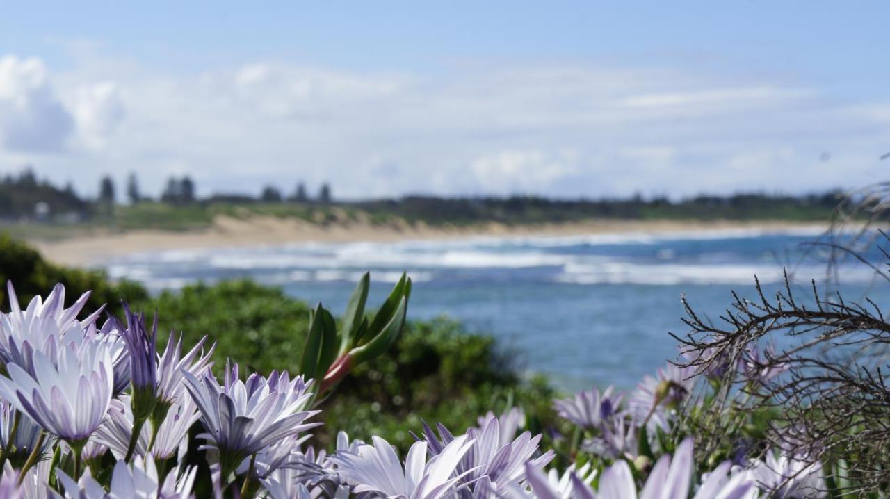 Blue Lagoon Beach Resort Bateau Bay Eksteriør billede